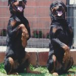 462202997_7843310225770881_1126937234771068487_n