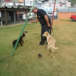 WhatsApp Image 2021-09-15 at 11.55.30